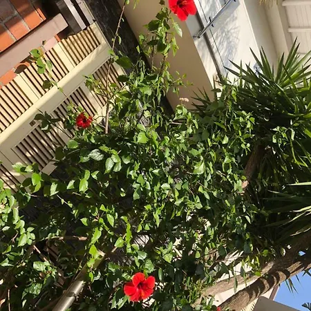 A Casa Di Flavia Apartment *